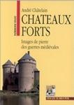 Châteaux forts : images de pierre des guerres médiévales